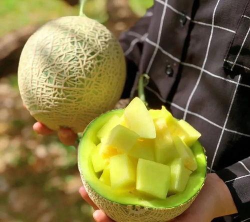 娱乐吃瓜大瓜,独家揭秘明星们的幕后故事  第1张